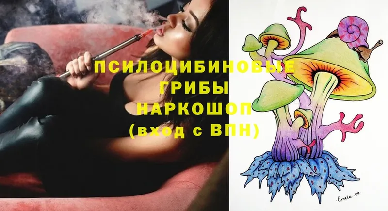 даркнет сайт  Белозерск  Галлюциногенные грибы MAGIC MUSHROOMS 